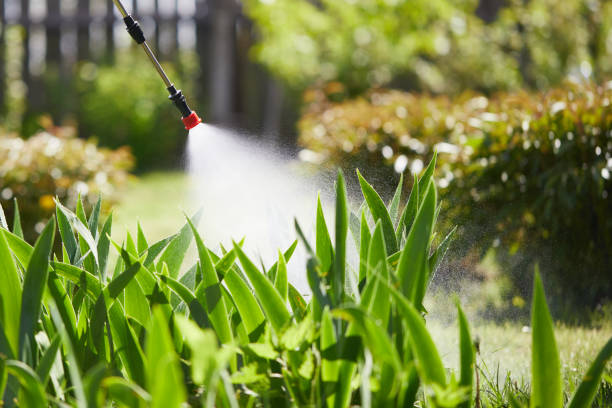 Tamper-Resistant Bait Stations for Rodents in Carmel-by-the-Sea