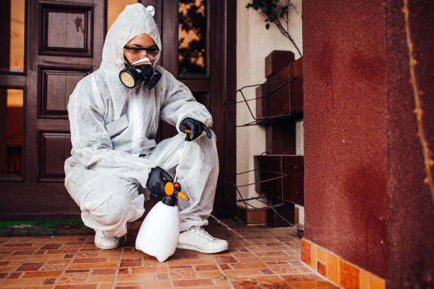Attic and Crawl Space Rodent Treatment in Carmel-by-the-Sea